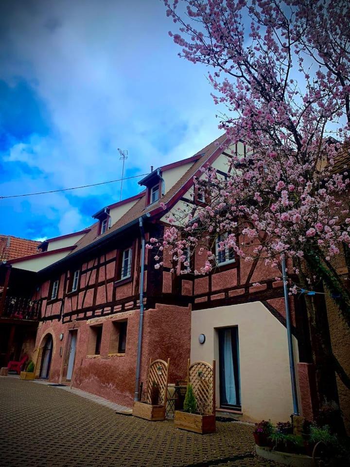 Le Clocher " Sous Les Combles" Parking Gratuit ベーブレンハイム エクステリア 写真